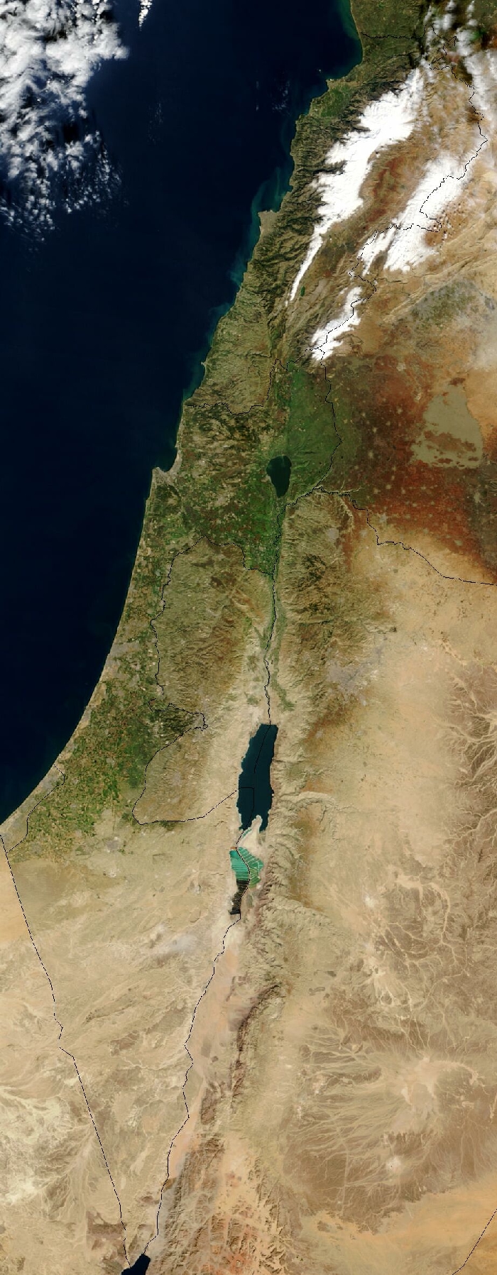 Satellite image of Israel (taken January 2003)