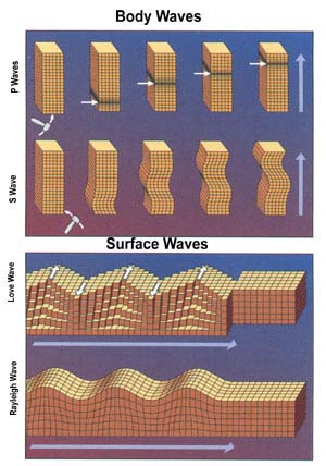Shear (tangent) and Pressre (logitudinal) waves in earthquakes